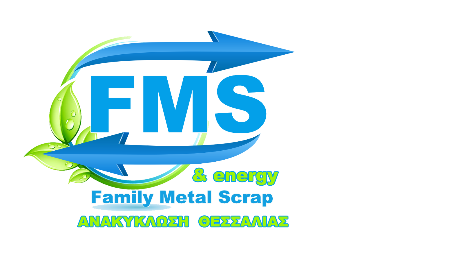 FMSAndEnergy